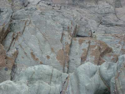4---Ripple-marks.jpg